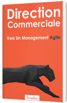 Direction Commerciale : Vers Un Management Agile