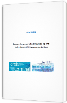 Les données personnelles à l'heure du big data : De l’intelligence artificielle au pouvoir des algorithmes