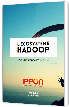 L'écosystème Hadoop
