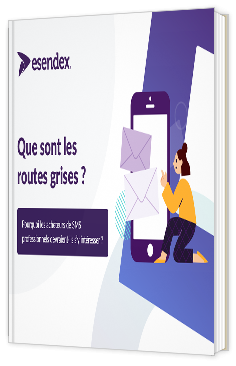 Livre blanc - "Que sont les routes grises ?" - Esendex