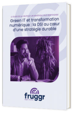 Livre blanc - "Green IT et transformation numérique : la DSI au cœur d’une stratégie durable" - Fruggr