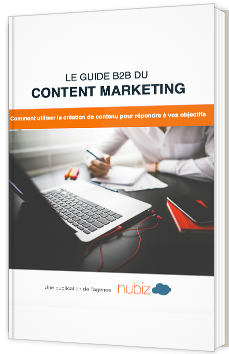 Livre Blanc : Le Guide B2B Du Content Marketing