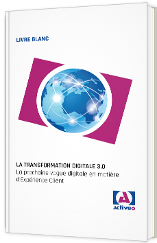 Livre Blanc : La Transformation Digitale 3.0