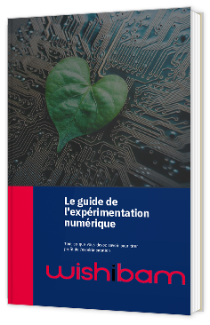 Livre blanc - Le guide ultime de l'experimentation numérique - Wishibam