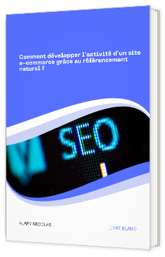 Livre blanc - Comment développer l’activité d’un site e-commerce grâce au référencement naturel ? - Alfary Nicolas