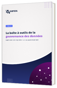 Livre blanc - "La boîte à outils de la gouvernance des données" - Limpida 