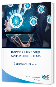 Livre blanc - "Dynamiser et développer son portefeuille clients : 5 approches efficaces" - BMPB