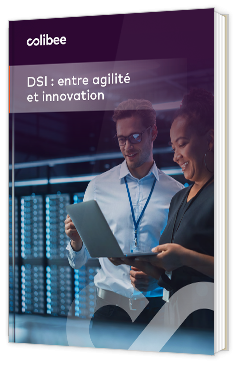 Livre blanc - "DSI : entre agilité et innovation" - Colibee