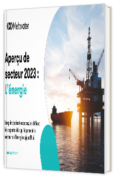 Livre blanc - "Aperçu de secteur 2023 : L’énergie" - Meltwater