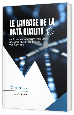 Livre blanc - "Le Langage de la Data Quality" - Tale of Data