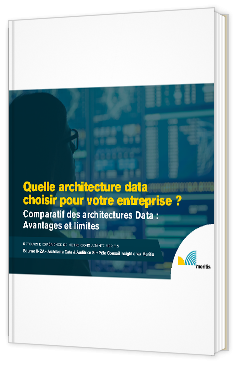 Livre blanc - "Quelle architecture data choisir pour votre entreprise ? " - Meritis