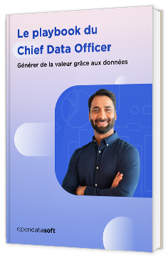 Livre blanc - "Le playbook du Chief Data Officer : Générer de la valeur grâce aux données" - Opendatasoft