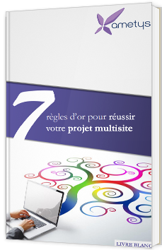 7 règles d’or pour réussir votre projet multisite