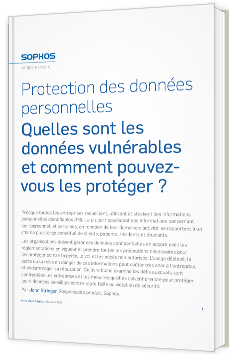 Protection des données personnelles - Quelles sont les données vulnérables et comment pouvez-vous les protéger ?