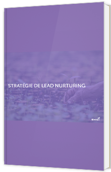 Stratégie de lead nurturing