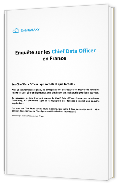 Enquête sur les Chief Data Officer en France