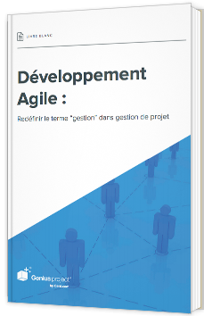 Livre Blanc : Développement Agile : Redéfinir Le Terme “gestion” Dans ...