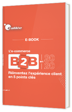  Réinventez l’expérience client e-commerce b2b