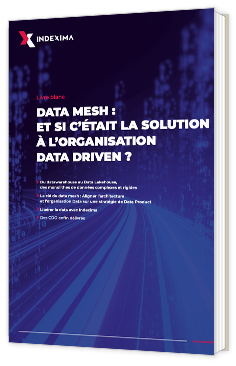 Data mesh : et si c'était la solution à l'organisation data driven ?