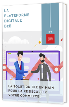 Livre Blanc : La Plateforme E-commerce Dédiée Aux Distributeurs B To B