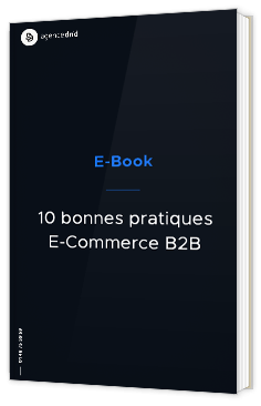 10 bonnes pratiques E-Commerce B2B