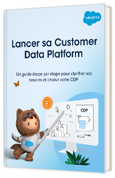 Choisir sa Customer Data Platform
