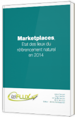Marketplaces : Etat des lieux du référencement naturel en 2014