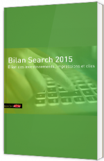 Bilan Search 2015 - Investissements, impressions et clics
