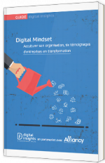 Digital Mindset - Acculturer son organisation, six témoignages d'entreprises en transformation