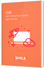 ESB - Les meilleures solutions open source