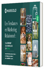 Livre blanc - "Tendances en marketing relationnel : Rapport sur le classement des marques retail" - Selligent by marigold