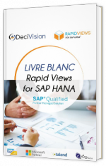 Rapid Views for SAP HANA