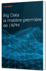 Big Data : la matière première de l’APM