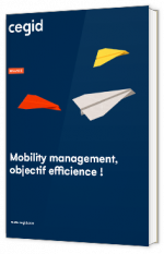 Livre blanc - Mobility management, objectif efficience ! - Cegid 