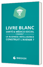 Livre blanc - SANTÉ & MÉDICO-SOCIAL : COMMENT  LA BUSINESS INTELLIGENCE CONSTRUIT L’AVENIR ? - Digdash