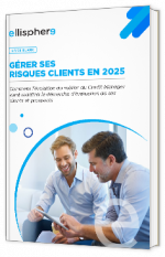 Livre blanc - "Gérer ses risques clients en 2025" - Ellisphere