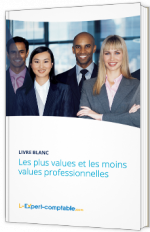 Les plus values et les moins values professionnelles