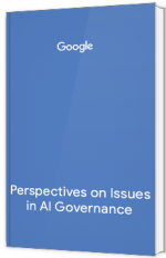 Perspectives on Issues in AI Governance