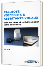 Callbots, voicebots & assistants vocaux : état des lieux et intérêt(s) pour votre entreprise