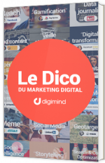Dictionnaire du Marketing Digital et Social Media
