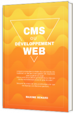 CMS ou développement web, que choisir ?