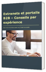 Extranets et portails B2B – Conseils par expérience