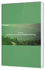 Guide de survie du Webmarketing