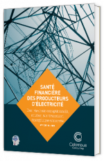 Livre blanc - "Santé financière des producteurs d’électricité : des résultats exceptionnels, soutien à la transition énergétique amortie – édition suisse" - Colombus Consulting