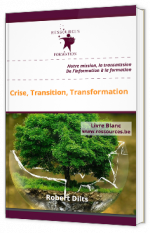 Crise, Transition, Transformation