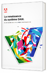 La renaissance du système DAM