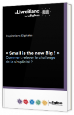 « Small is the new Big ! » Comment relever le challenge de la simplicité ?