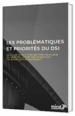Les problématiques et priorités du DSI