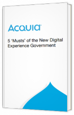 5 ‘Musts’ of the New Digital Experience Government