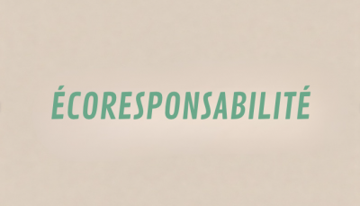 Dossier - L'écoresponsabilité en entreprise : une transition nécessaire pour un avenir durable